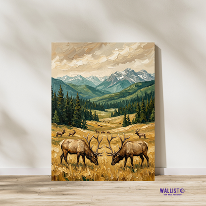 Elk Valley Meadow